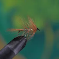 Wickhams Spider Pearl