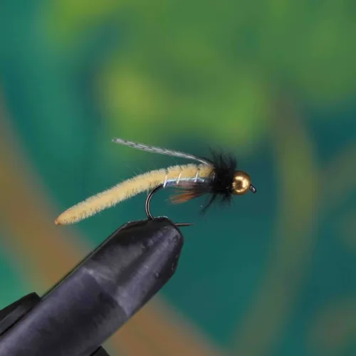 Cream Caddis Pupa Emerger