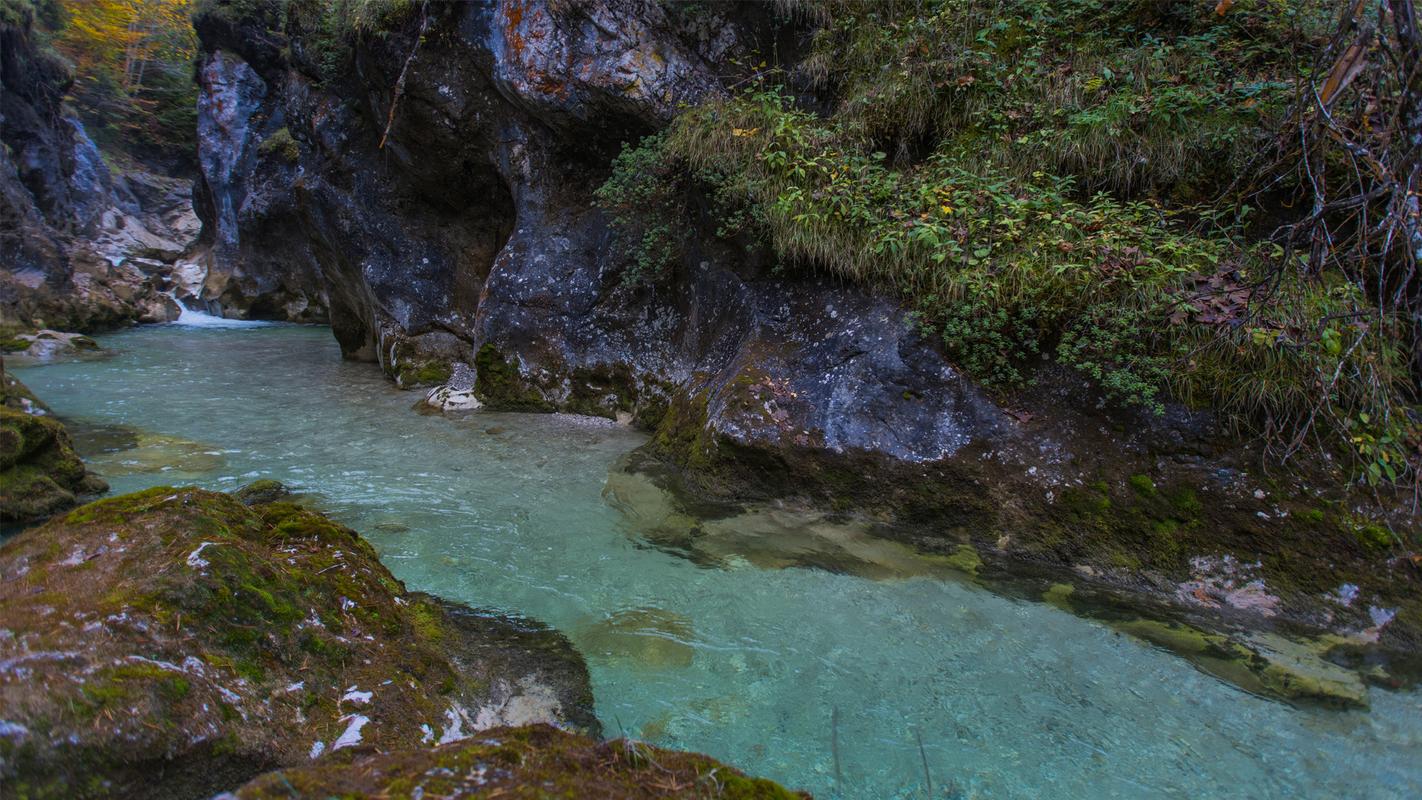 Fliegenfischen mit Herz