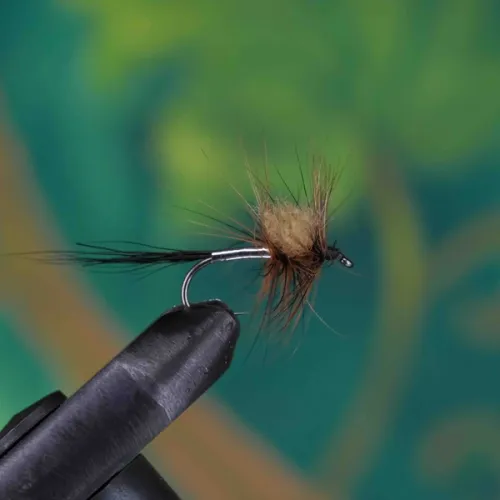 Big Adams Stimulator