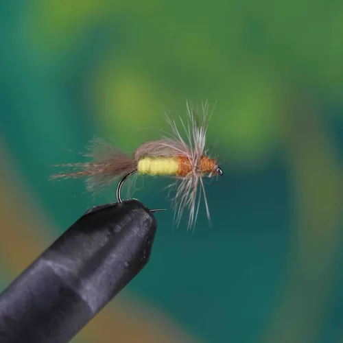 Last Emerger