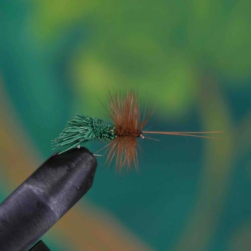 Goddard Caddis Green