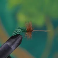 Goddard Caddis Green