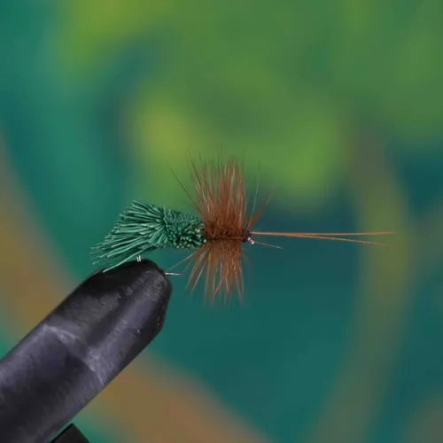 Goddard Caddis Green