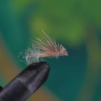 X-Caddis Tan