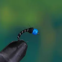 Grayling Blue Crystal