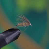 Waterhen Bloa Ribbed