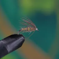 Waterhen Bloa Ribbed