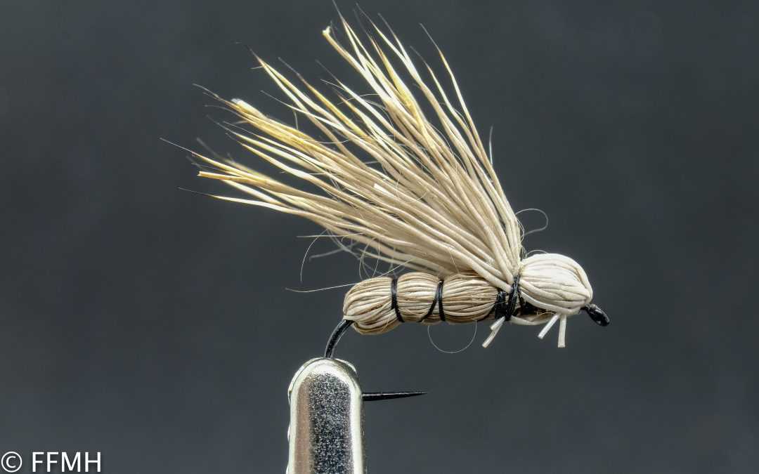 Running Caddis