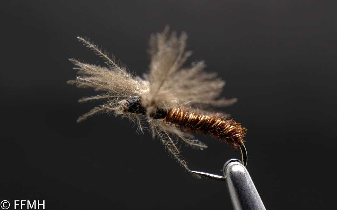 CDC Delta Wing Stonefly
