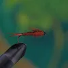 Brown Stonefly