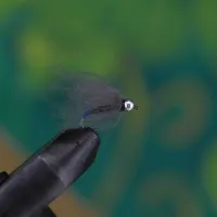 Silver Head Brown Body Blue Tail