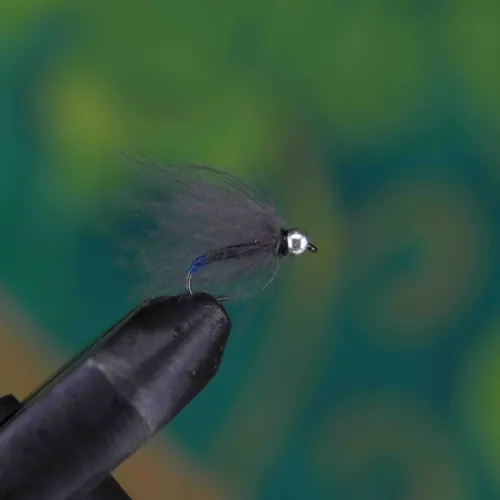 Silver Head Brown Body Blue Tail