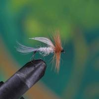 Classic Dry Fly Brown White