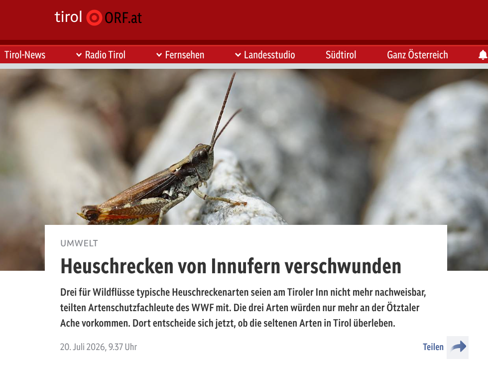 Nachruf für die Heuschrecken am Tiroler Inn