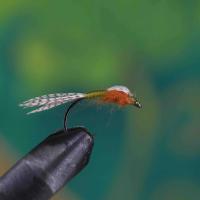 Back Paraloop Emerger Green