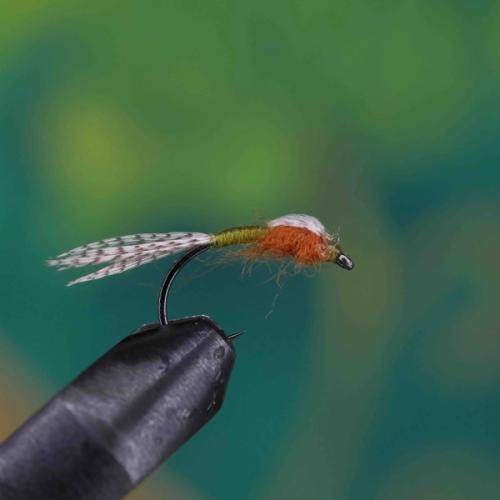 Back Paraloop Emerger Green