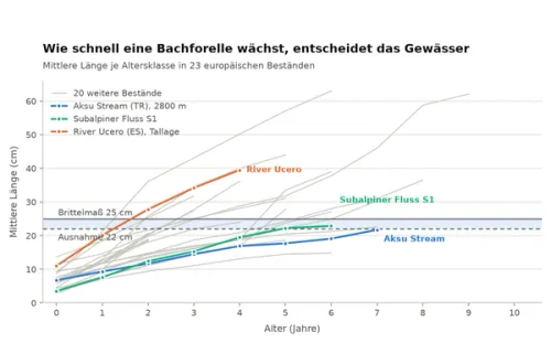 Mittlere Länge je Altersklasse in 23 europäischen Bachforellenbeständen, mit den Schwellen 22 und 25 cm