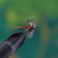 Adams Body Light Brown