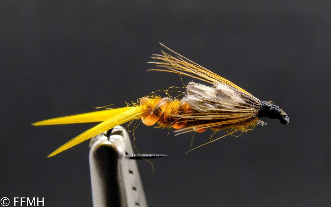 Golden Stonefly