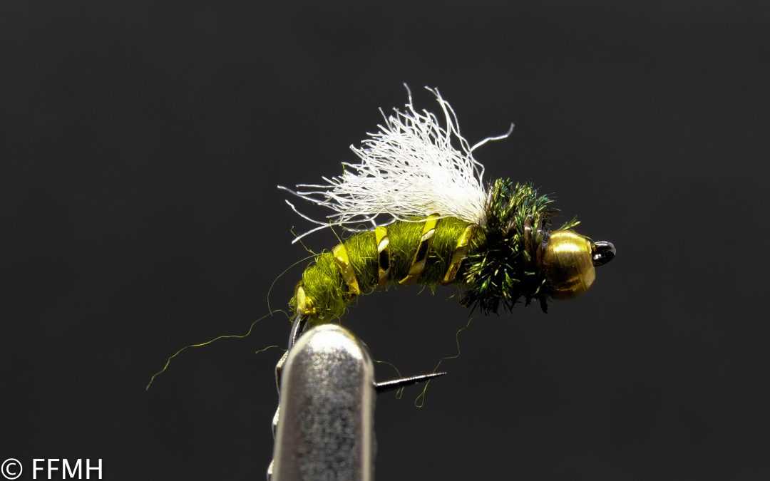Olive Caddis Pupa Emerger