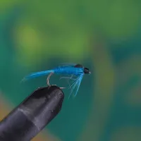 Damsel Nymph Blue