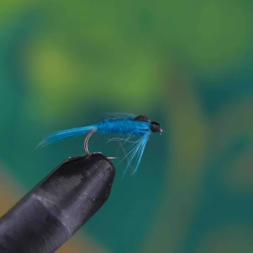 Damsel Nymph Blue