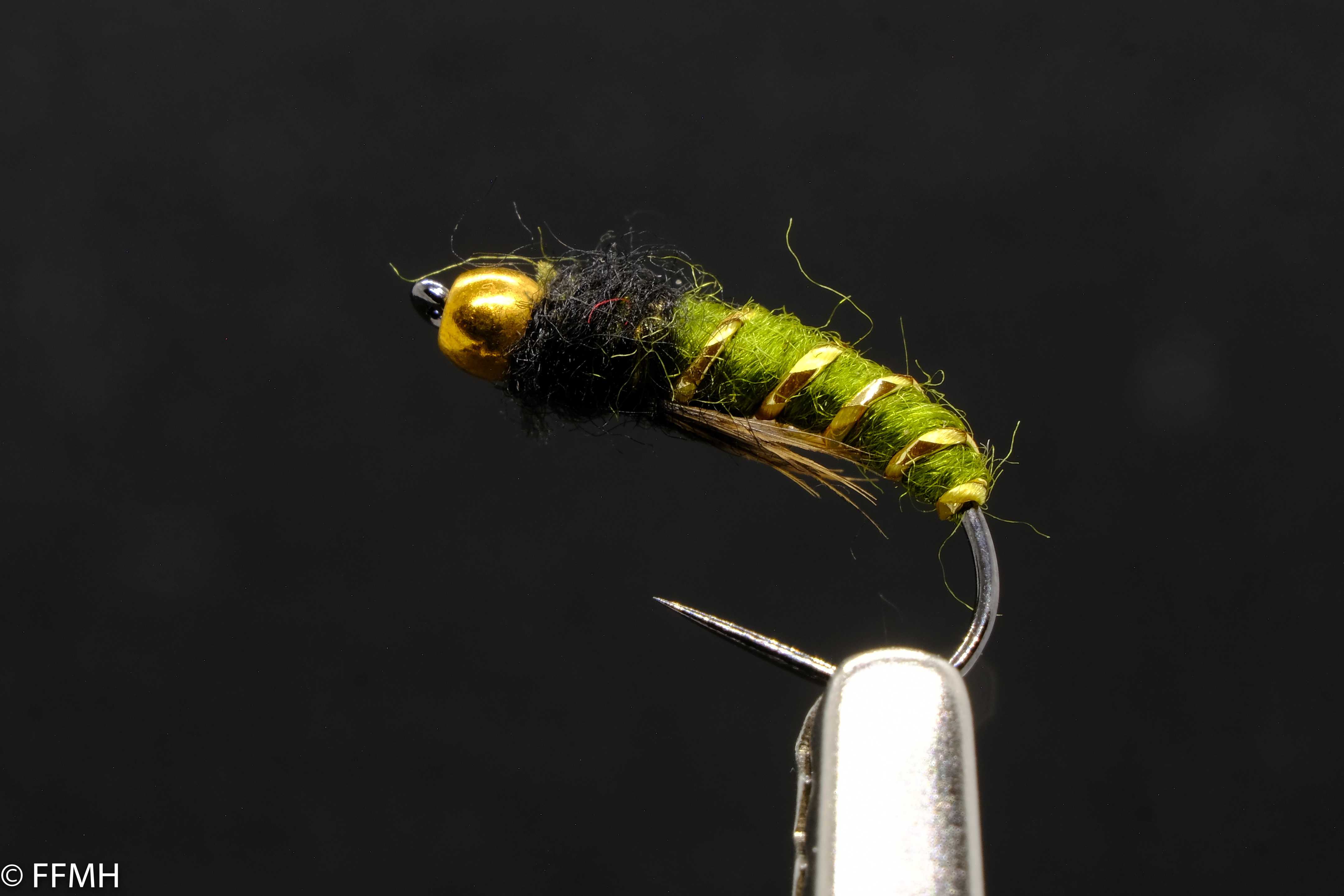 Heavy Nymph – segmentierte Nymphe mit goldfarbenem Kopf, olivgrünem Körper und schwarzem Thorax, perfekt beschwert für tiefe Strömungszonen und anspruchsvolle Forellen