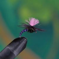 Black Magic Purple Rib