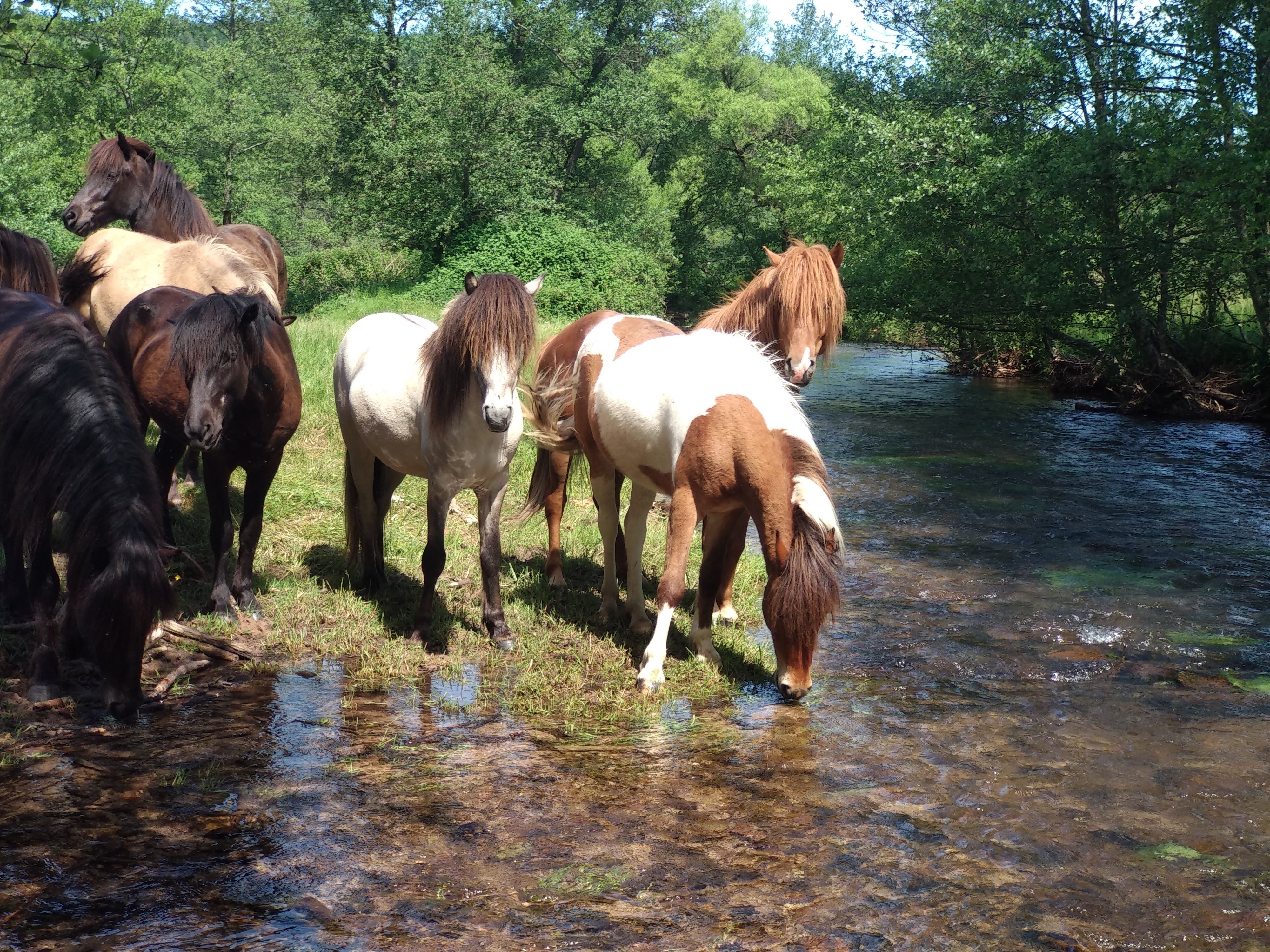 Vom Wurm zur Fliege – Wie ich zum Fliegenfischen kam