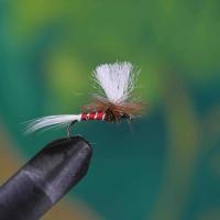 Parachute Spinner Ribbed