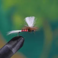 Parachute Spinner Ribbed