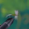 Blue Winged Olive