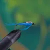 Teal Blue Damse