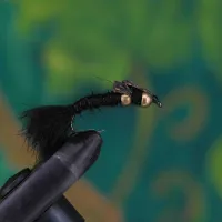 Gold Nugget Creeper Black