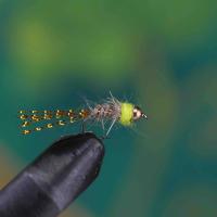 Lime Thorax Hares Ear