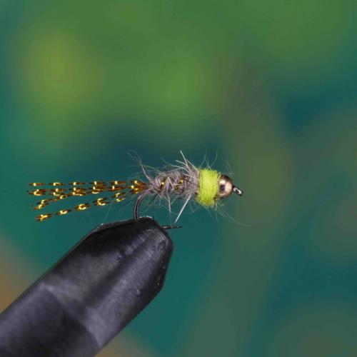 Lime Thorax Hares Ear