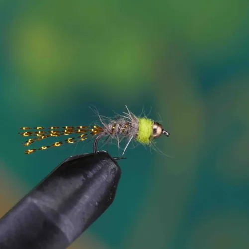 Lime Thorax Hares Ear