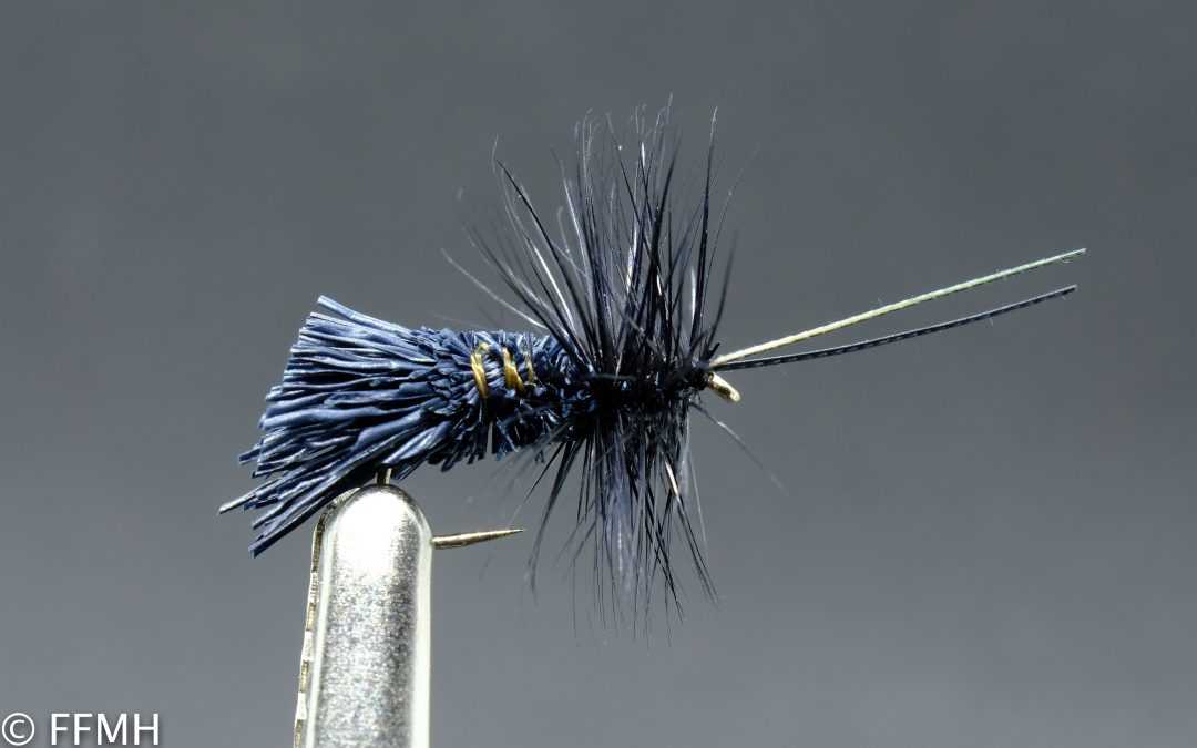Goddard Caddis Black