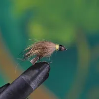 Bead Head Cased Caddis Green