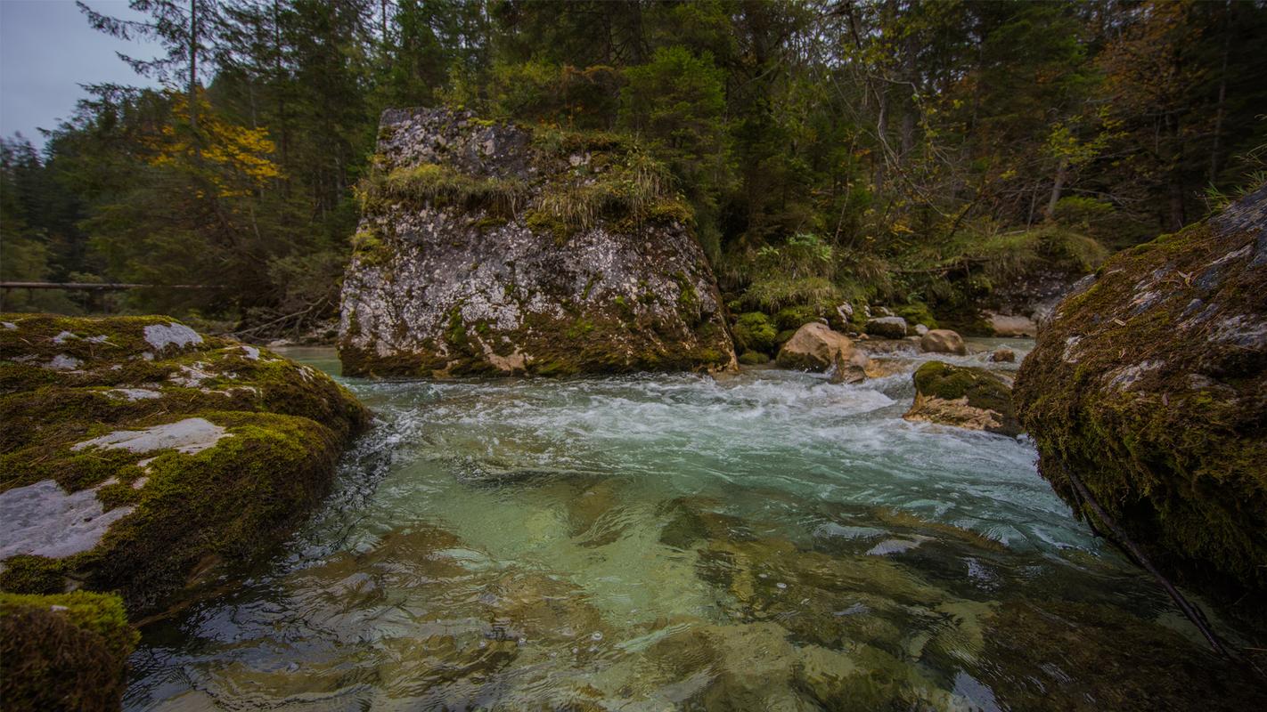 Fliegenfischen mit Herz