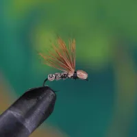 Running Caddis Brown