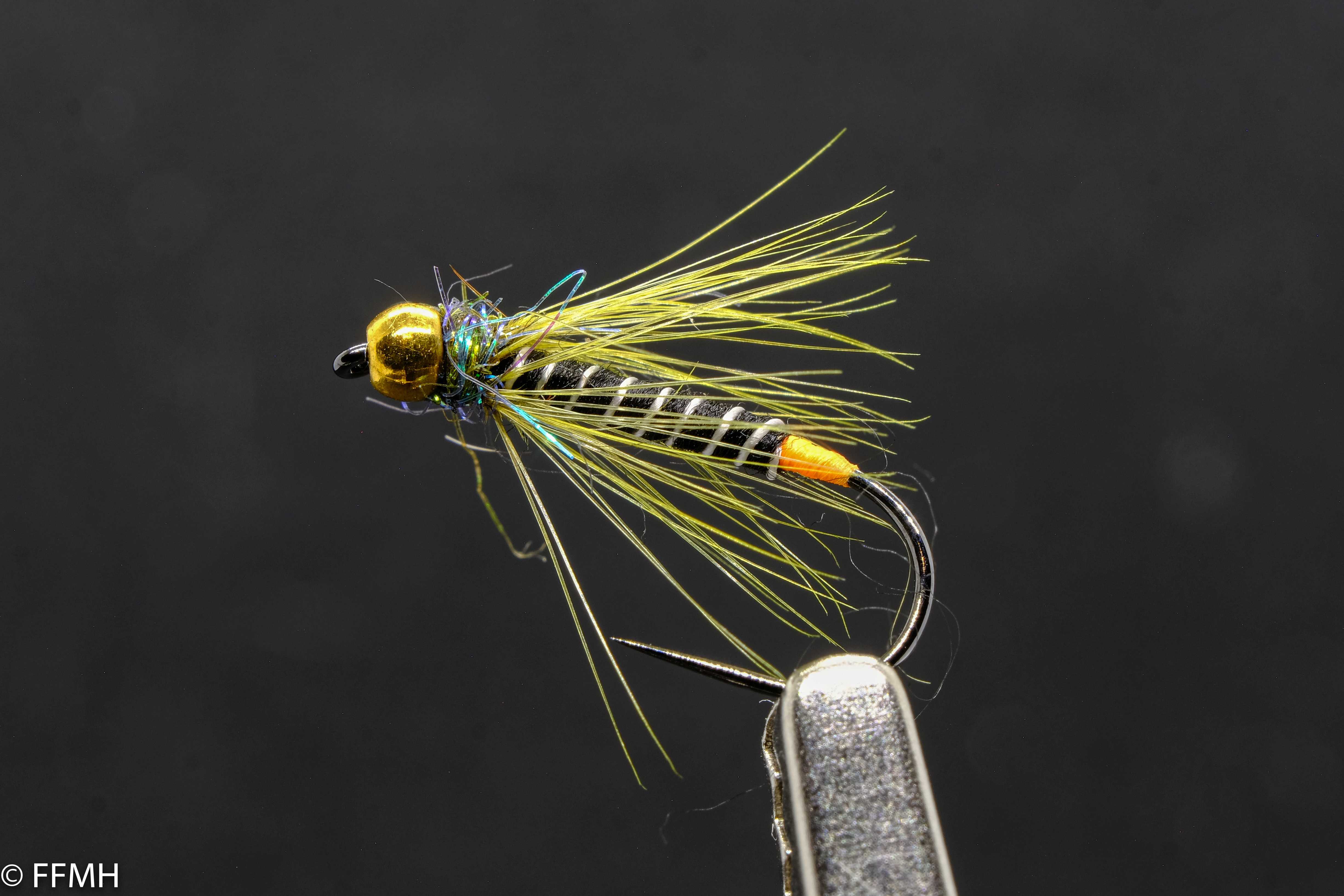 Gold Head Wripped Spider Green – handgebundene Nassfliege mit goldfarbenem Kopf, segmentiertem Körper und lebendigen grünen Hecheln, naturgetreuer Köder für bewegtes Wasser