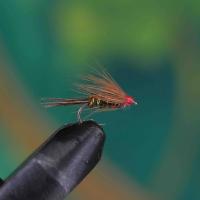 Holosilver Blank Buster Chruncher