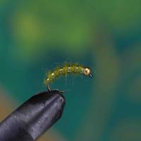 Grayling Torpedo Olive