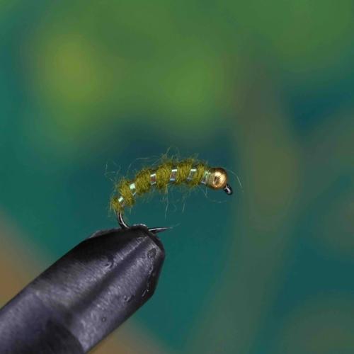 Grayling Torpedo Olive