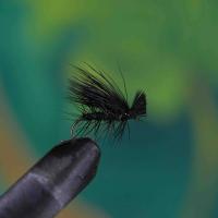 Elk Hair Caddis All Black