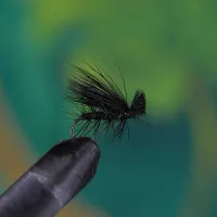 Elk Hair Caddis All Black
