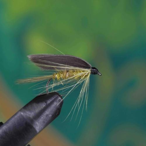 Olive Wet Fly