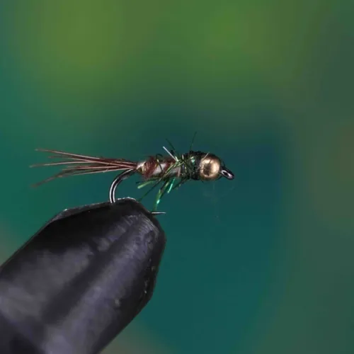 Matt Gold Head Brown Tail